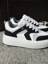 Gray Negro
